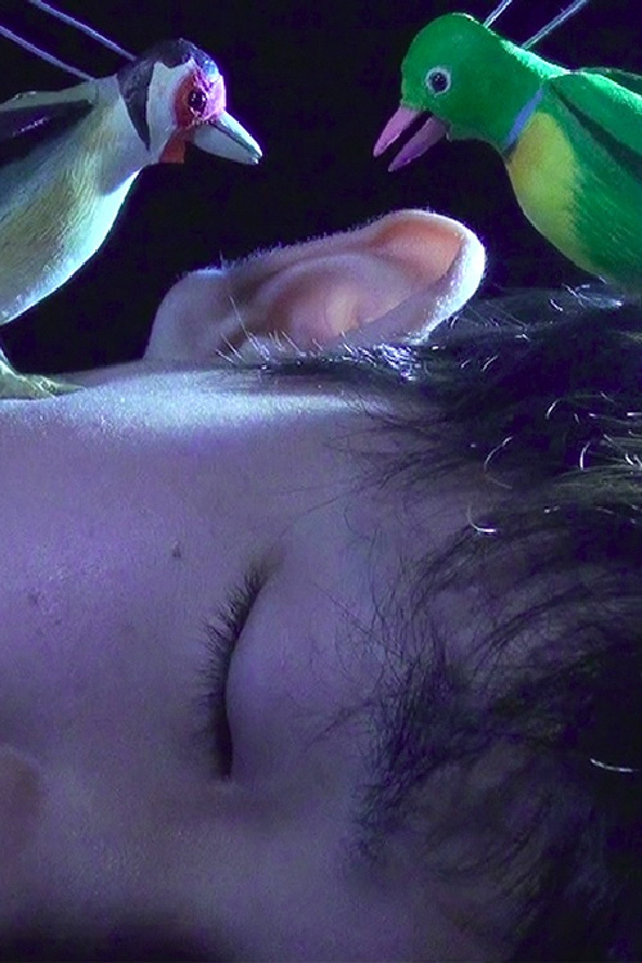 The Princess and the Magic Birds filmaffisch