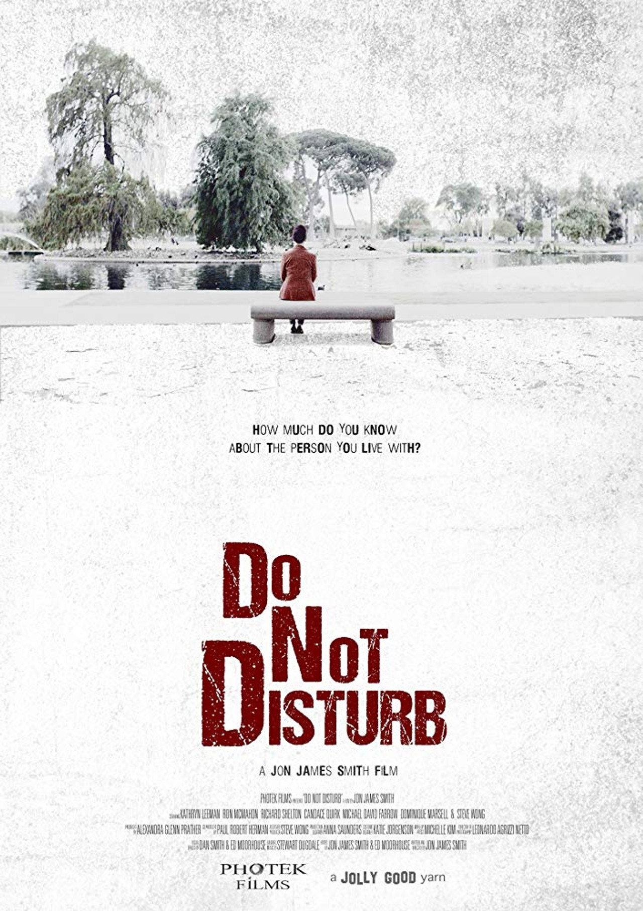 Do Not Disturb filmaffisch