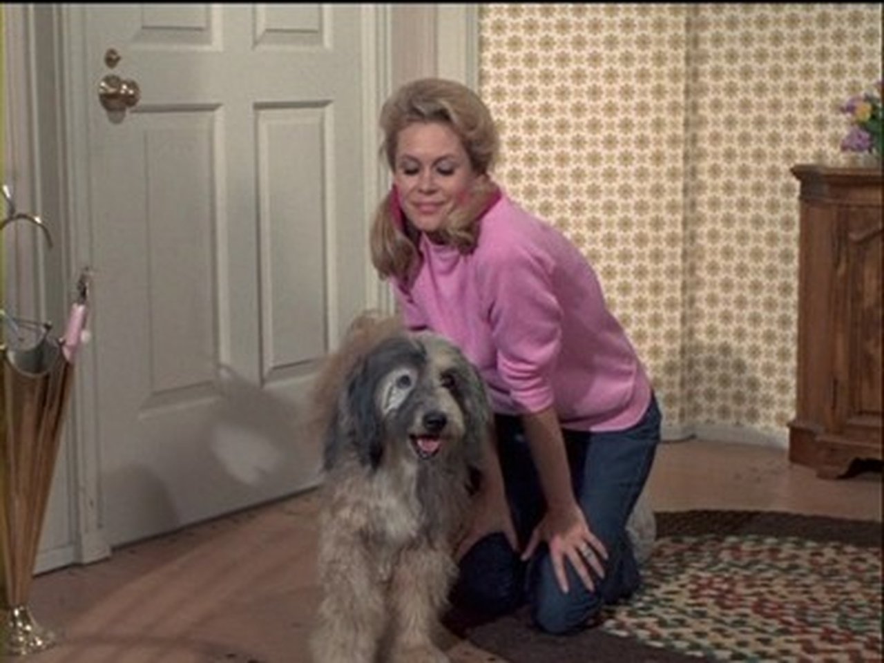 Bewitched - Season 7 Episode 9 : Samantha's Pet Warlock