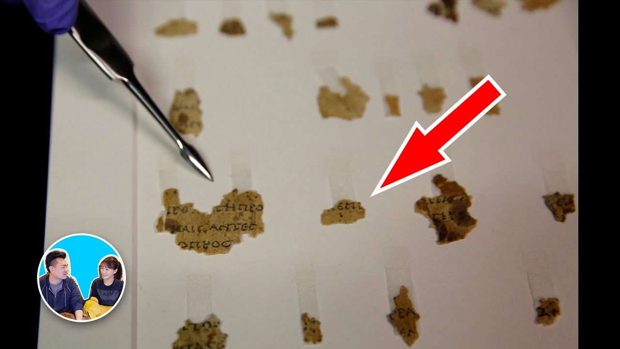 老高与小茉 — Épisode 236