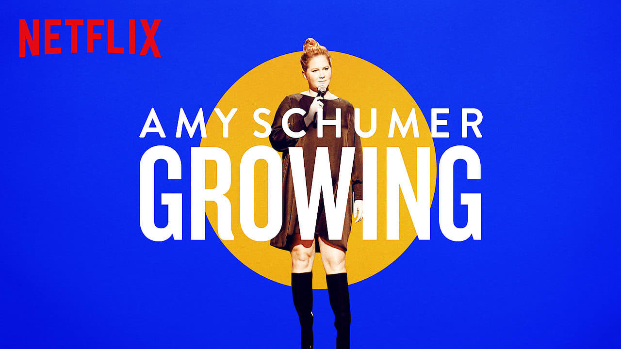 Amy Schumer: Growing background