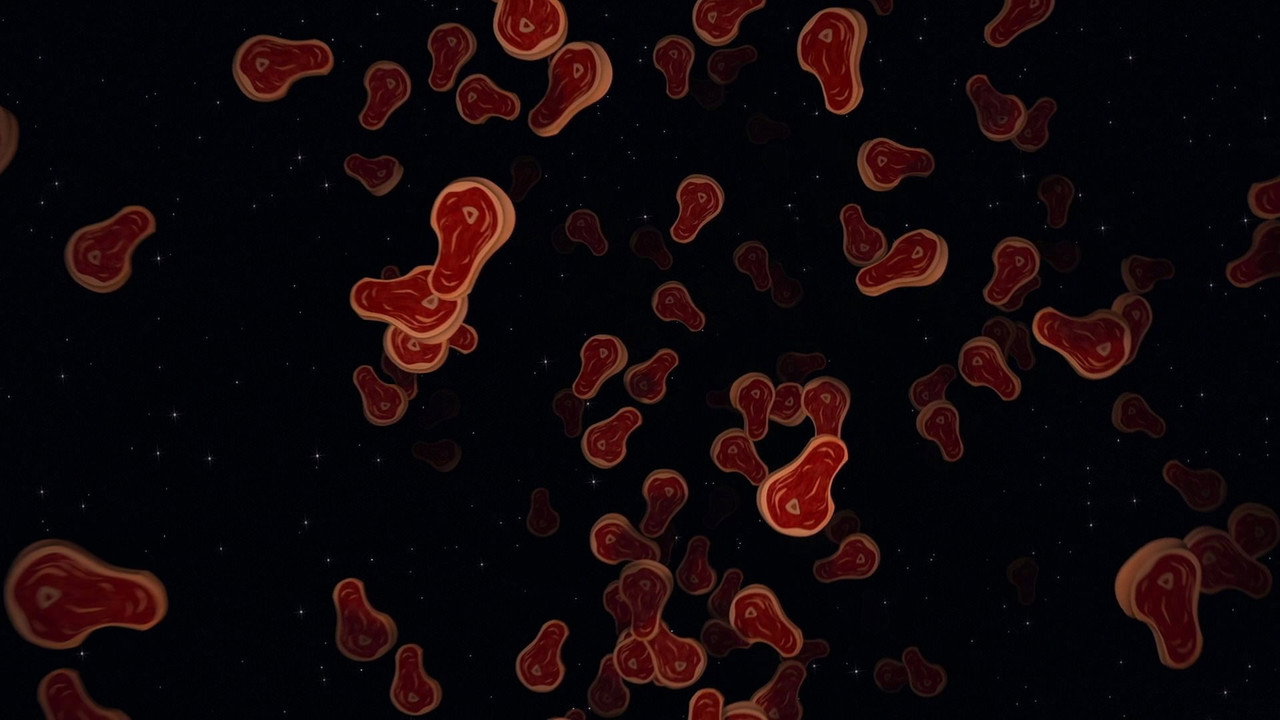 Madagascar background 49