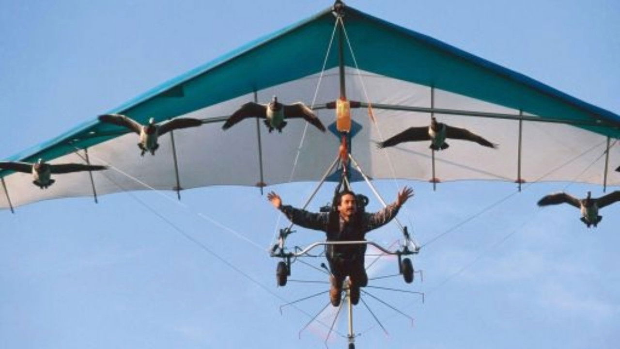 Nature - Season 32 Episode 6 : Earthflight: Flying High