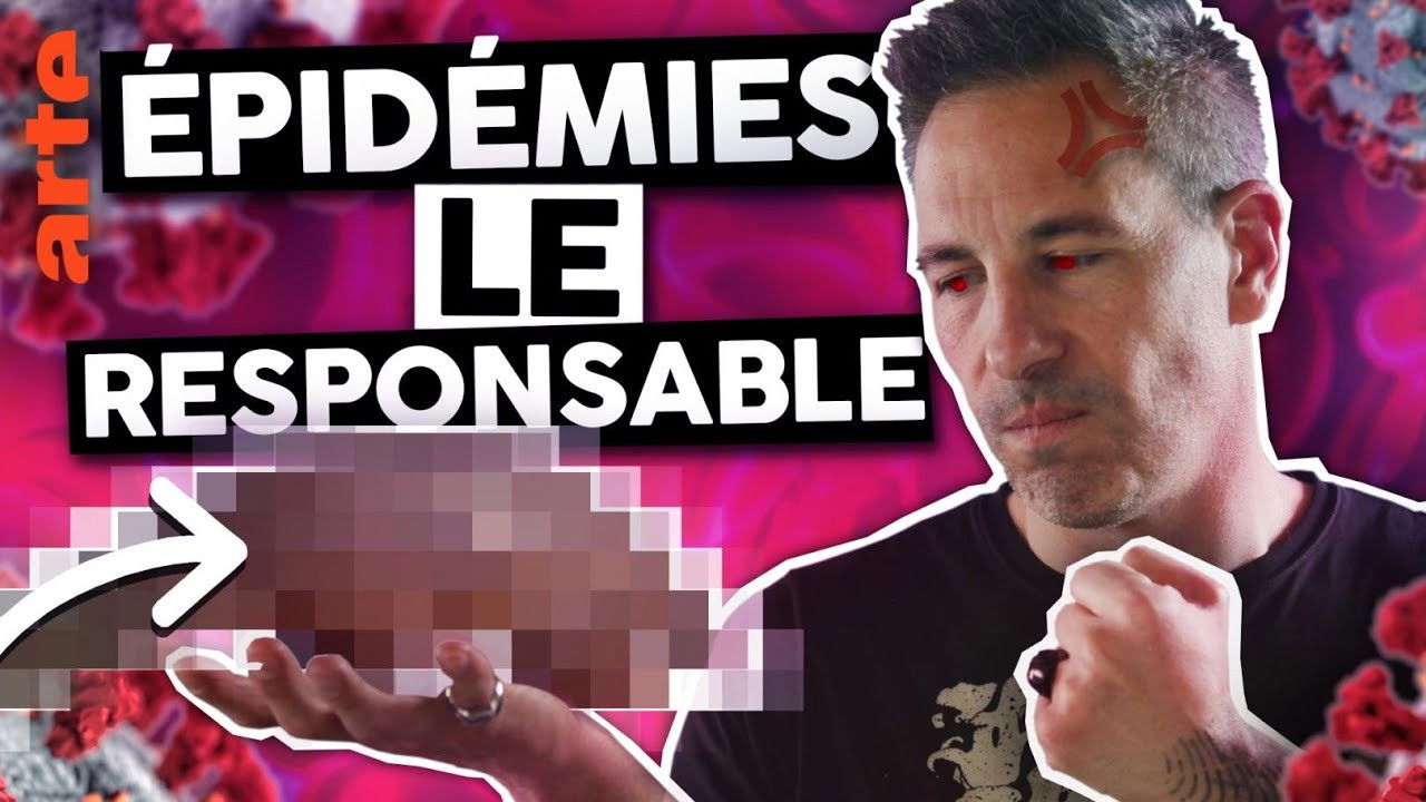 Le Vortex — L’animal responsable de TOUTES les épidémies