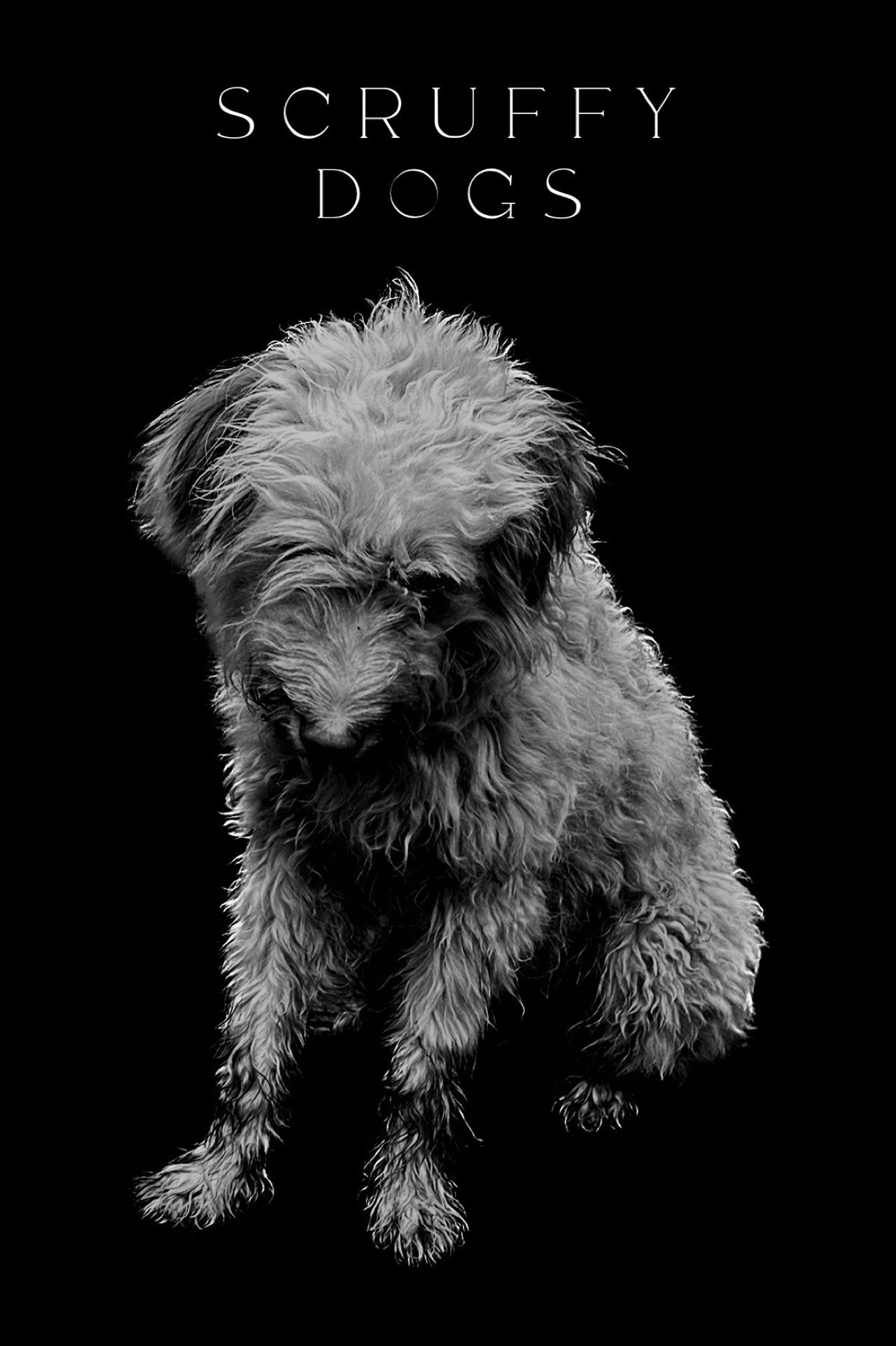Scruffy Dogs filmaffisch