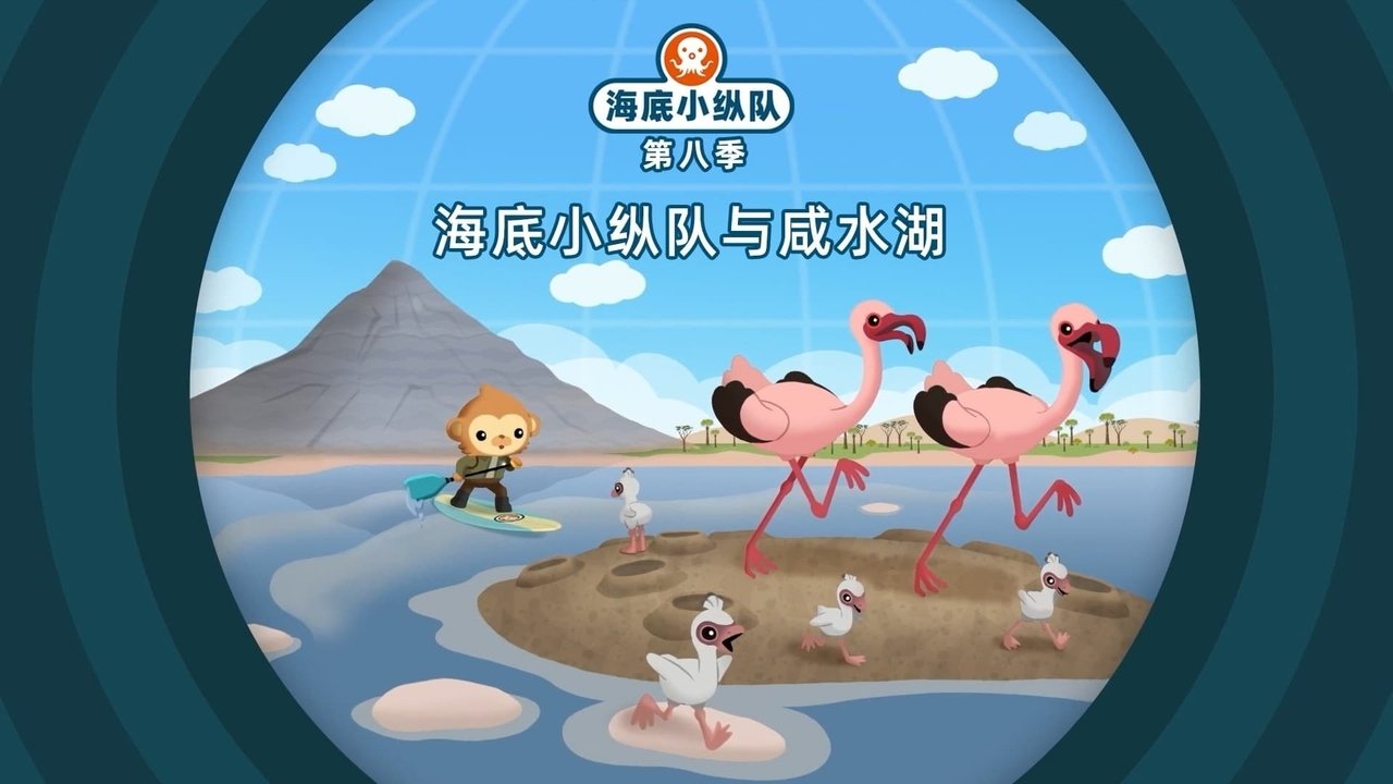 Octonauts - Season 8 Episode 4 : Episode 4
