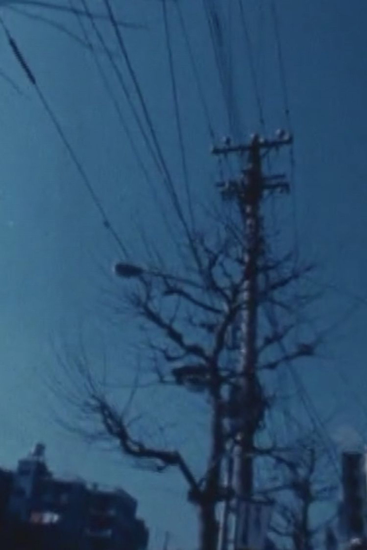 景色を過ぎて filmaffisch