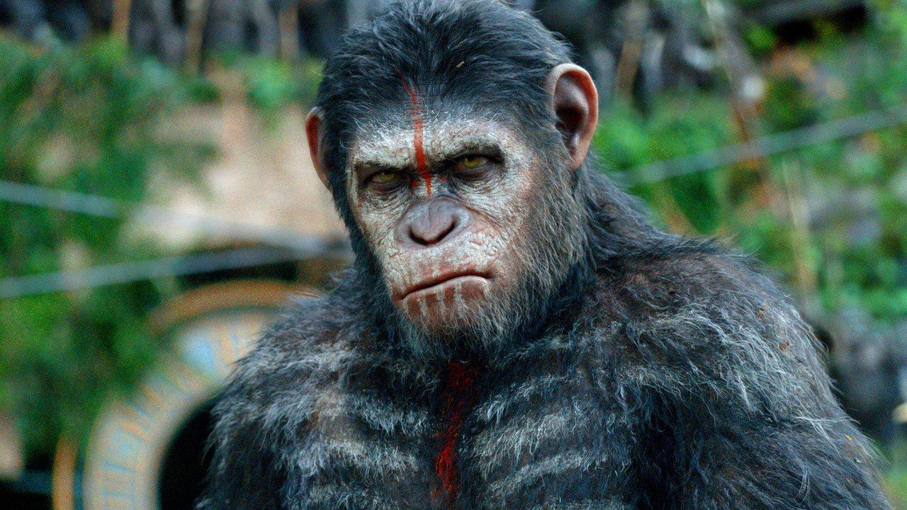 Dawn of the Planet of the Apes background 59