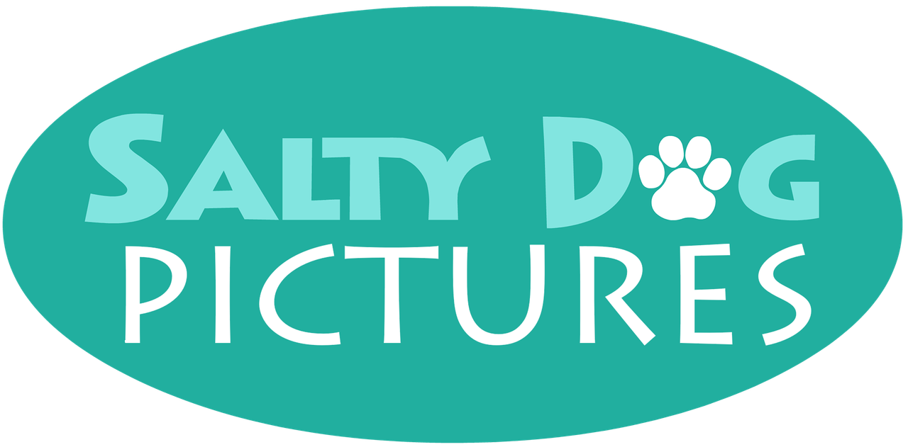Salty Dog Pictures
