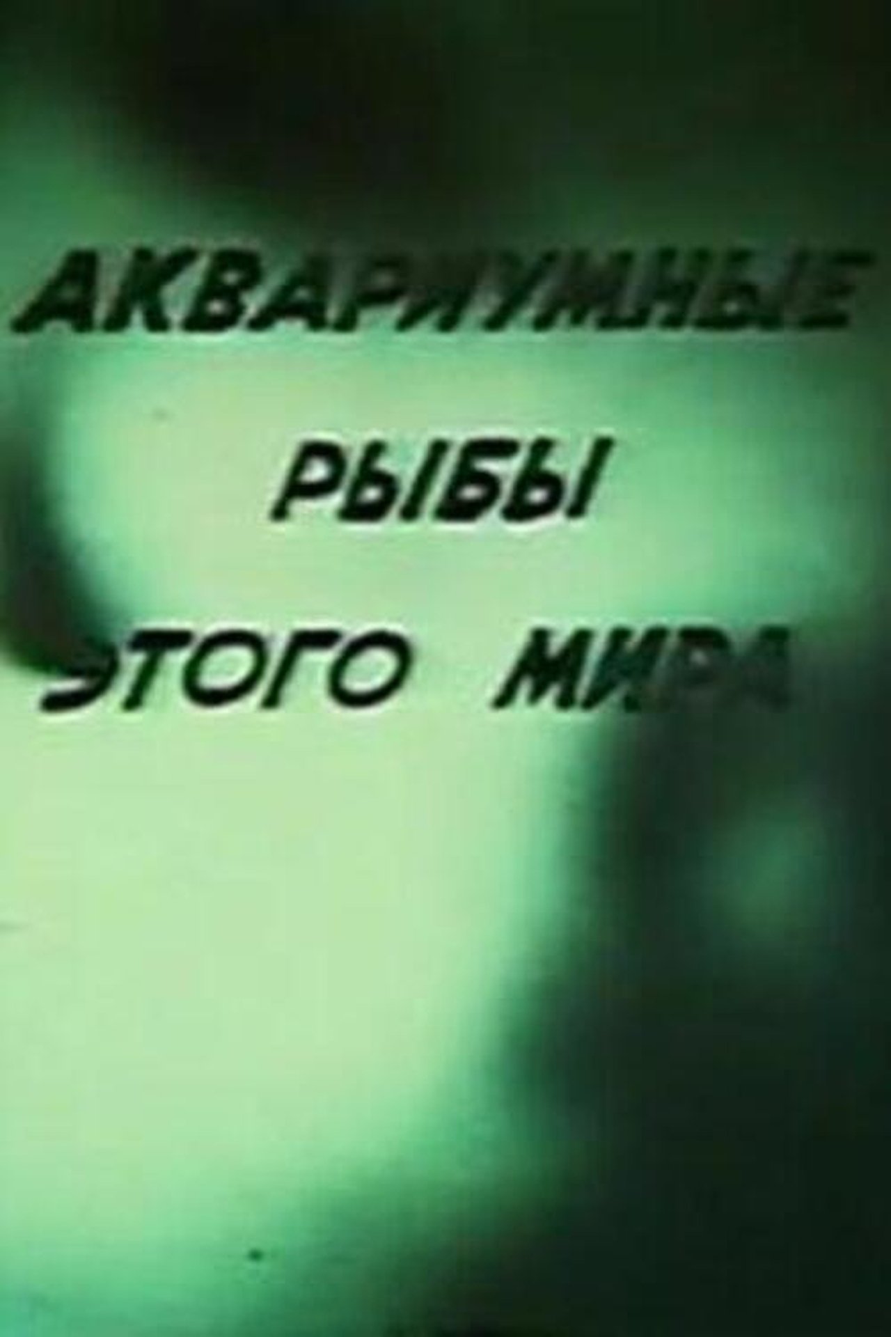 Аквариумные рыбы этого мира Аквариумные рыбы этого мира