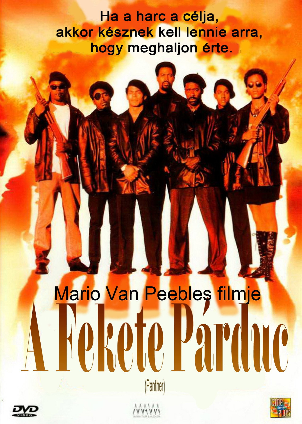 A fekete párduc – plakát 5