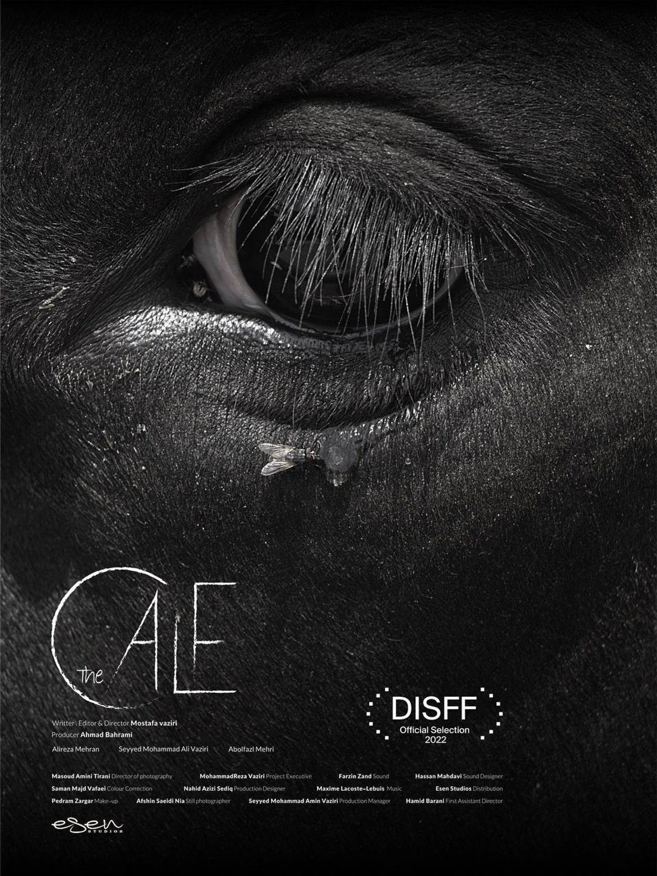 The Calf