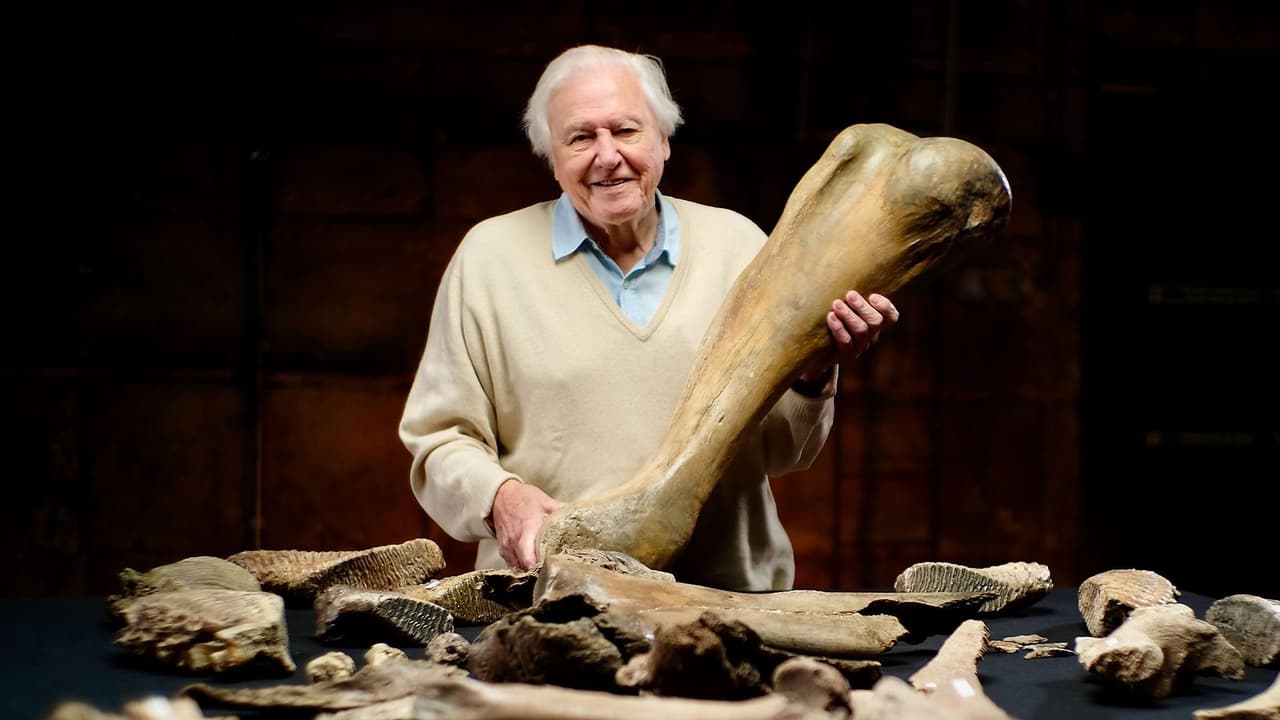 Scen från Attenborough and the Mammoth Graveyard