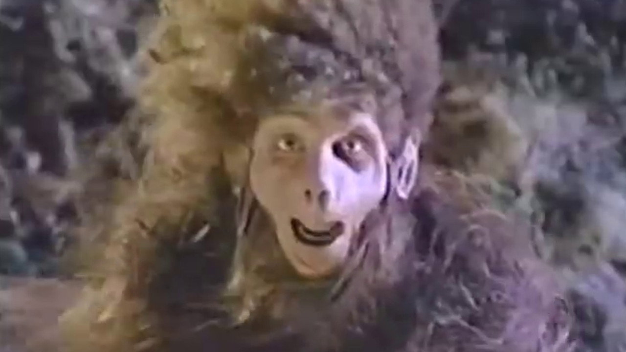 Time Warped backdrop