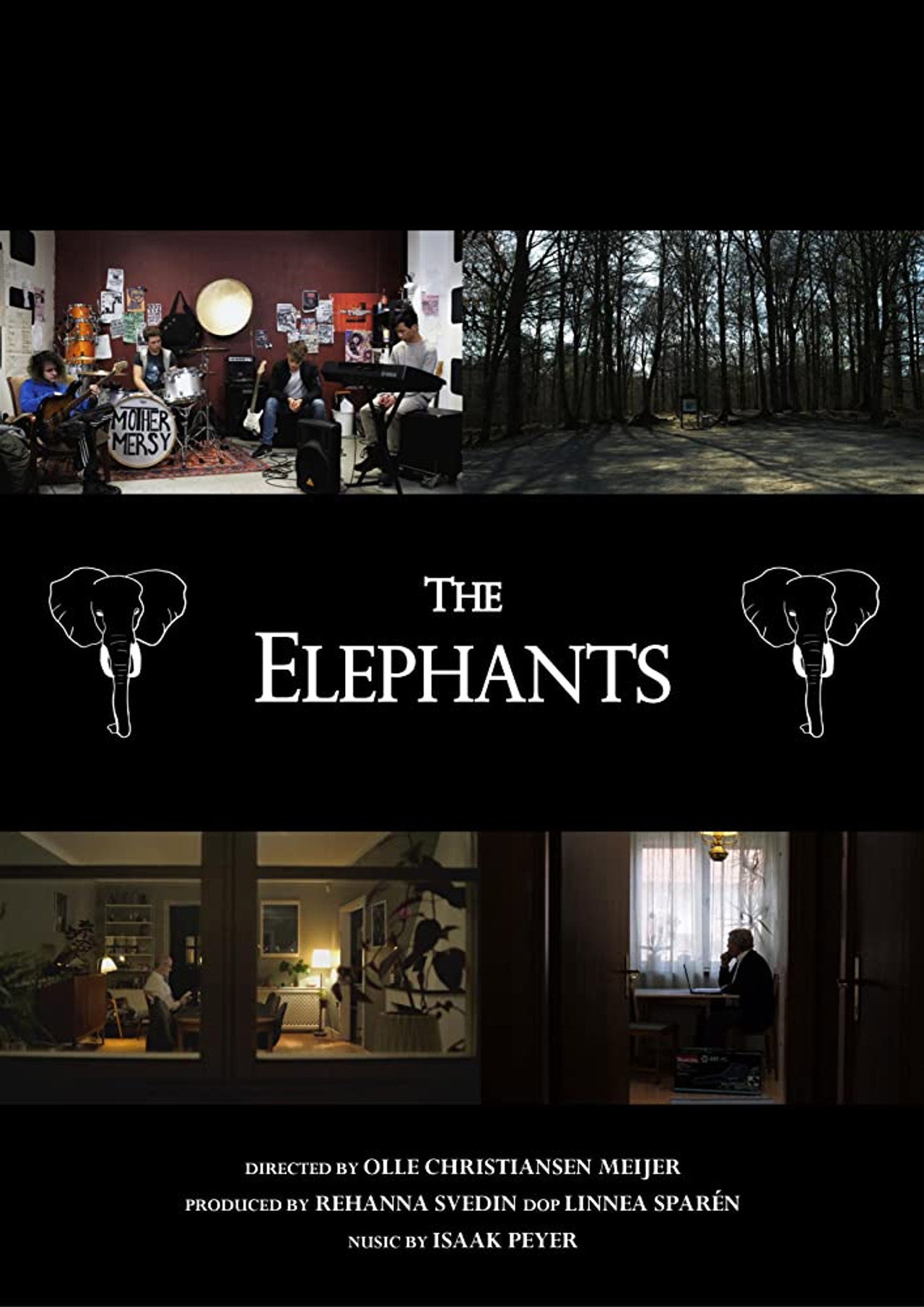 The Elephants Backdrop