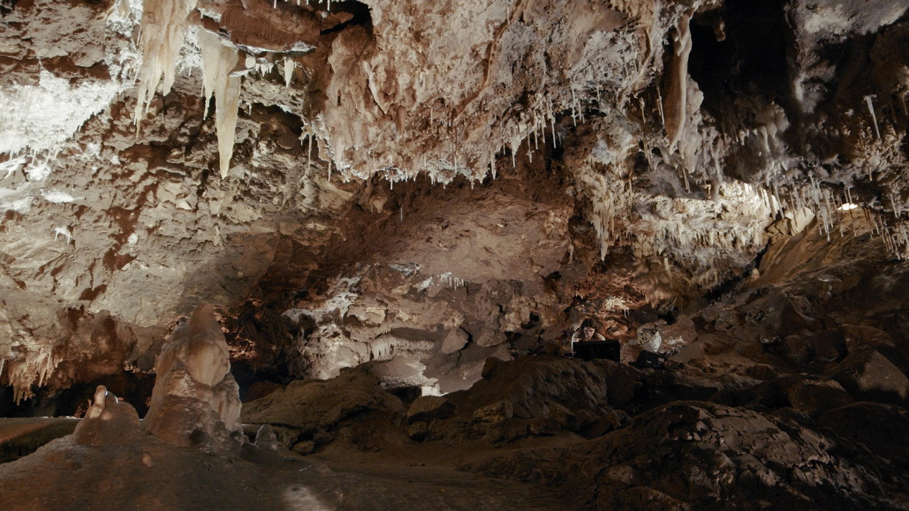 BIOMES