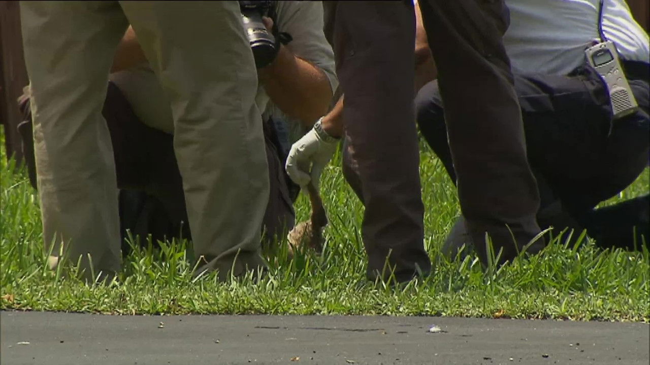 Animal Cops : Miami — Épisode 9