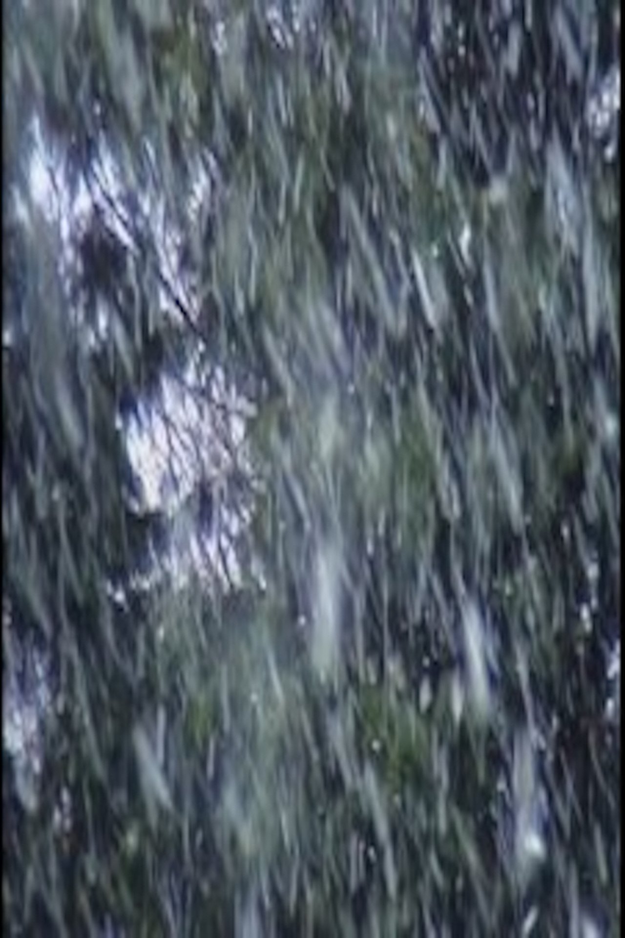 مشاهدة فيلم H2O-0C-24.02.06-12.01GMT - 03,50.40W - 50.16.30N مترجم بدون اعلانات - بوستر