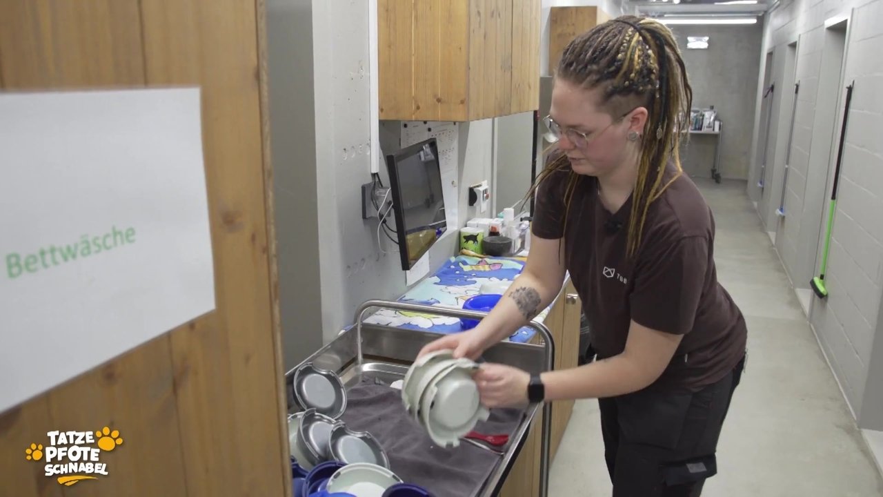 Tatze, Pfote, Schnabel - Season 3 Episode 9 : Episode 9