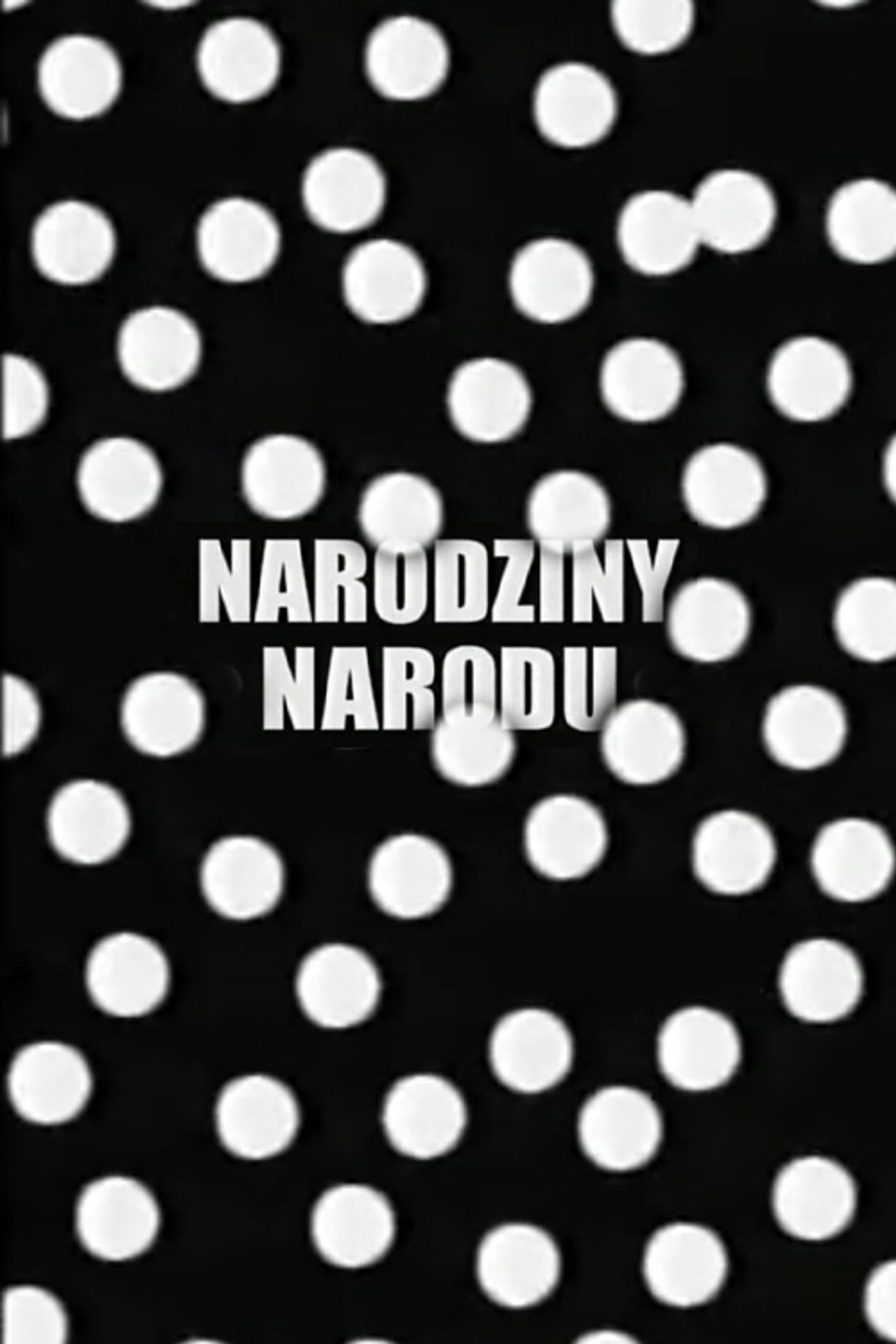 Narodziny narodu filmaffisch
