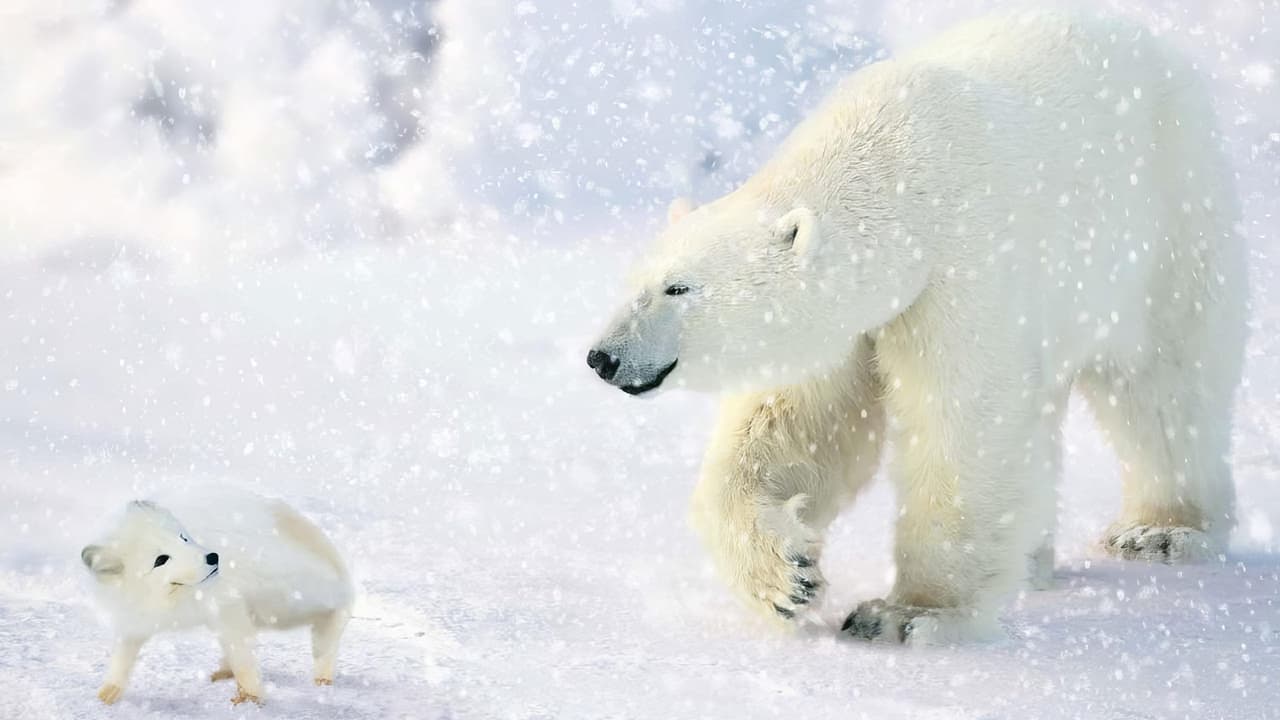 Scen från Isbjörnarnas äventyrliga resa