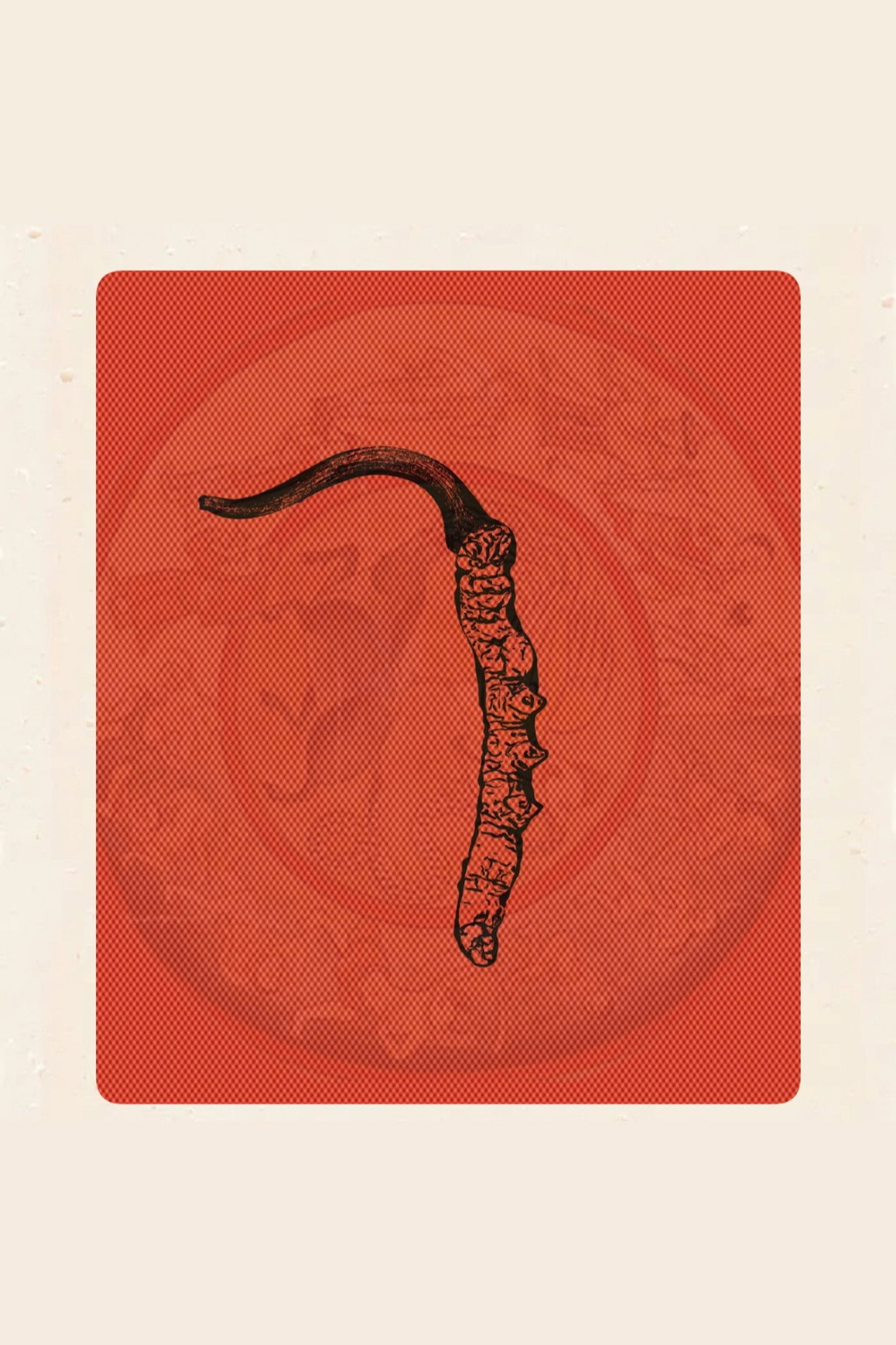 Himalayan Gold filmaffisch