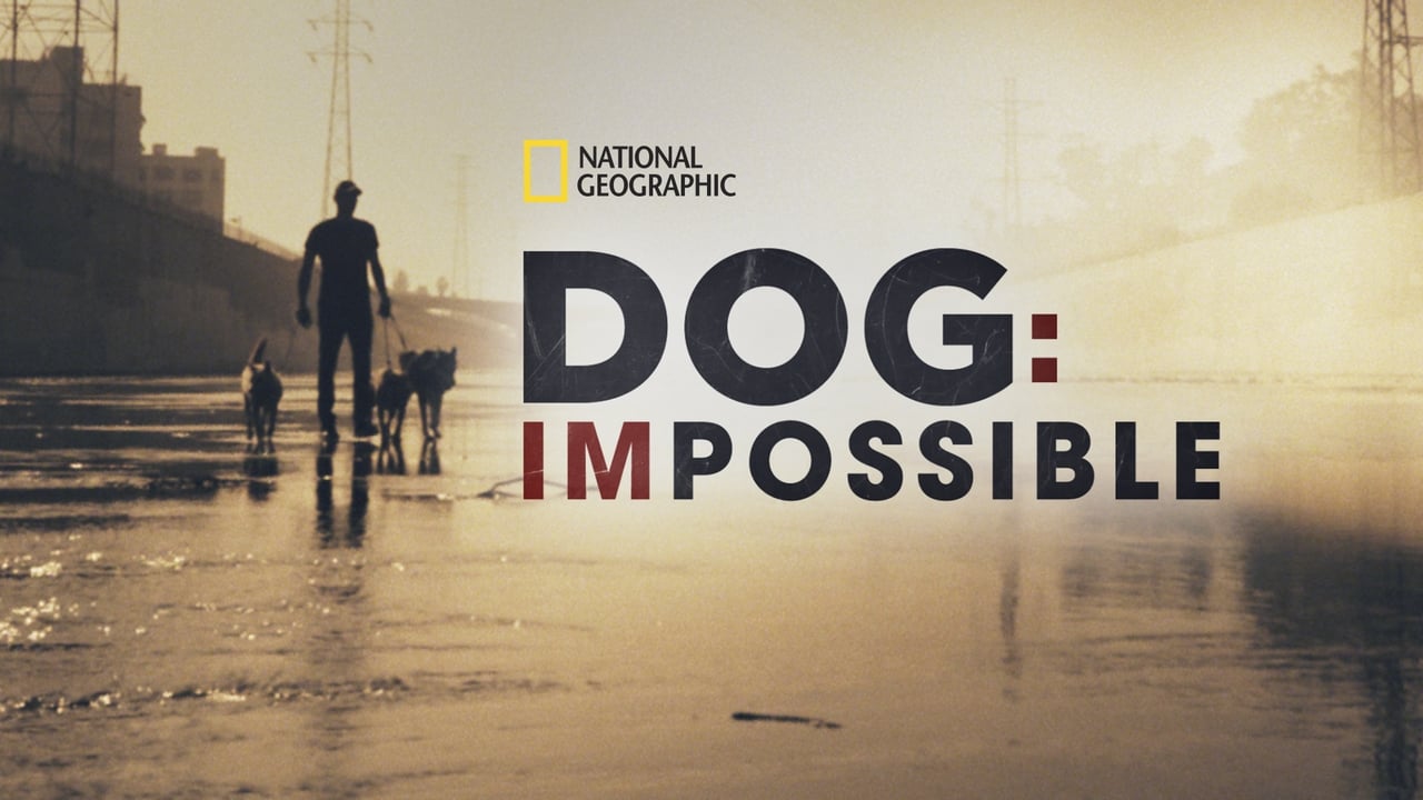 Dog: Impossible background