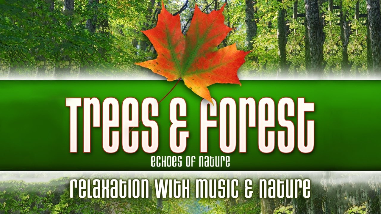 Trees & Forest: Echoes of Nature Relaxation with Music & Nature background