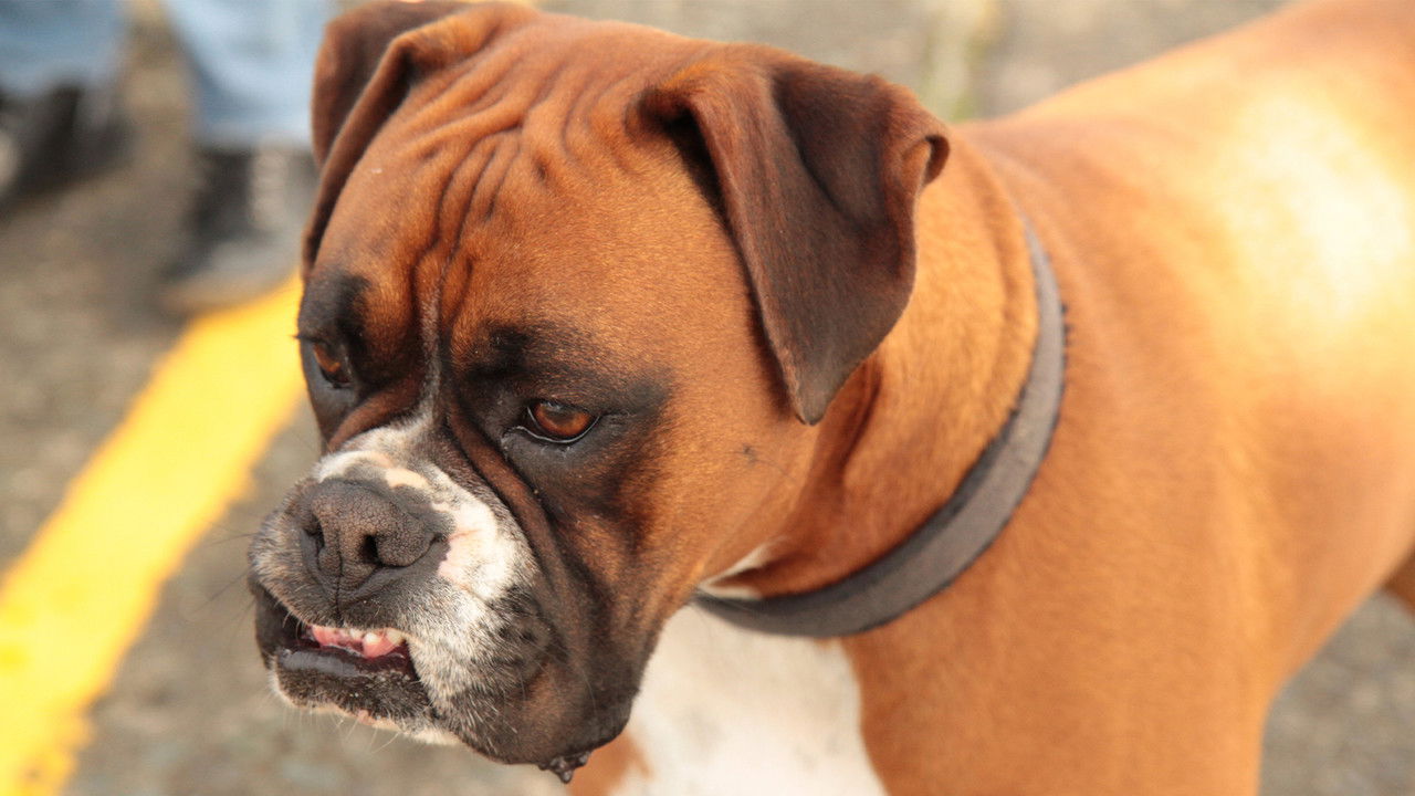 Stranger Than Nature — Épisode 7