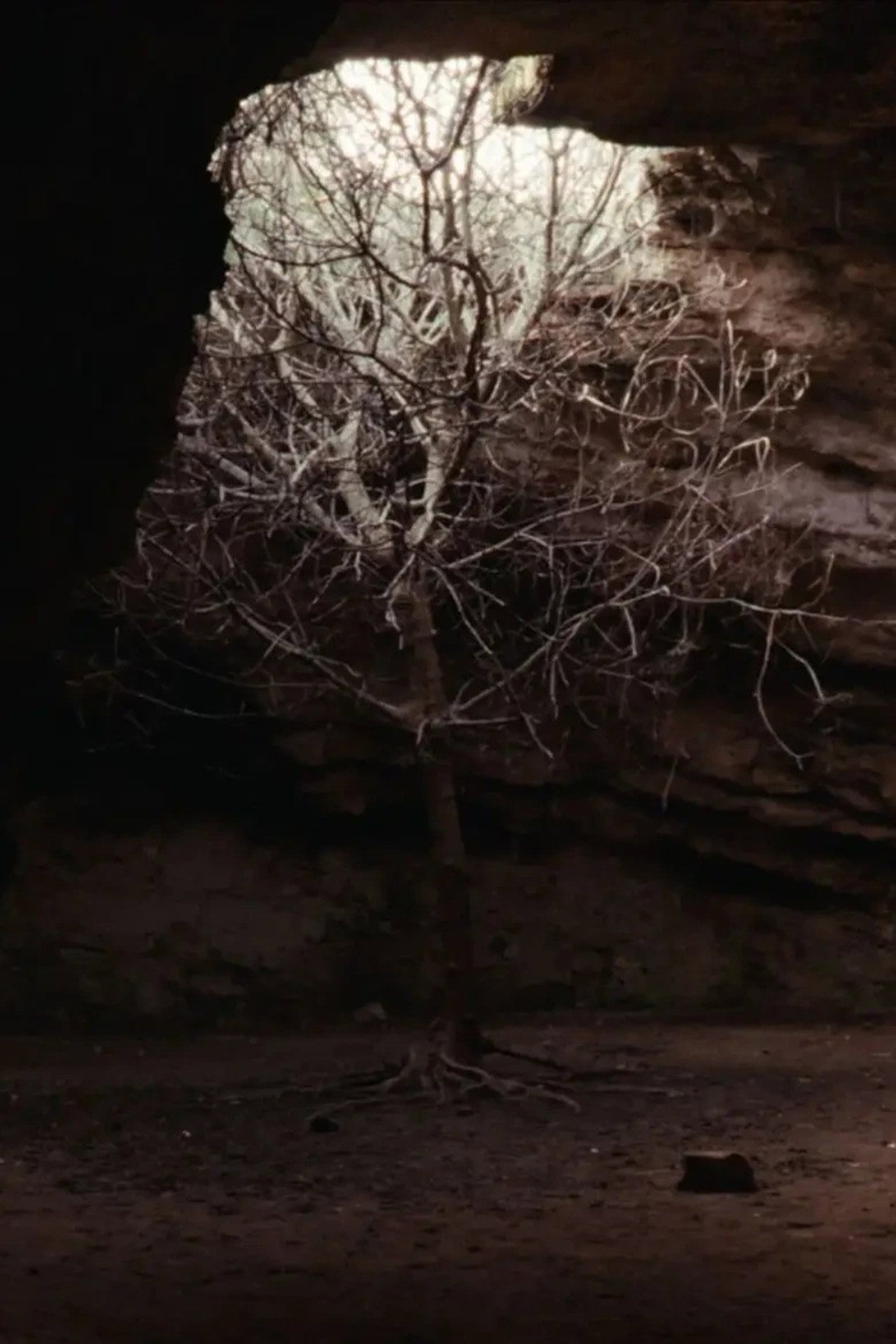 All Things Pass and Will Pass Again (2025)