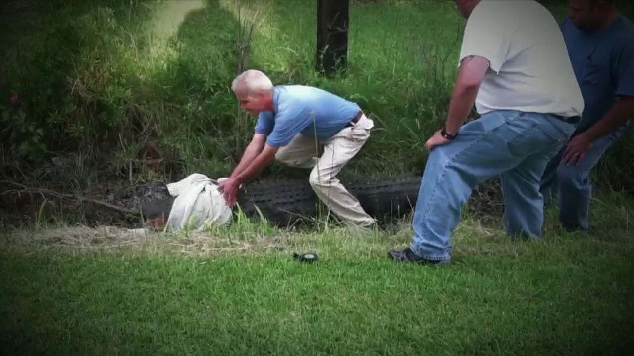 World's Weirdest — Épisode 2