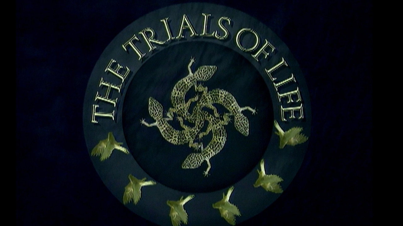 The Making Of The Trials Of Life