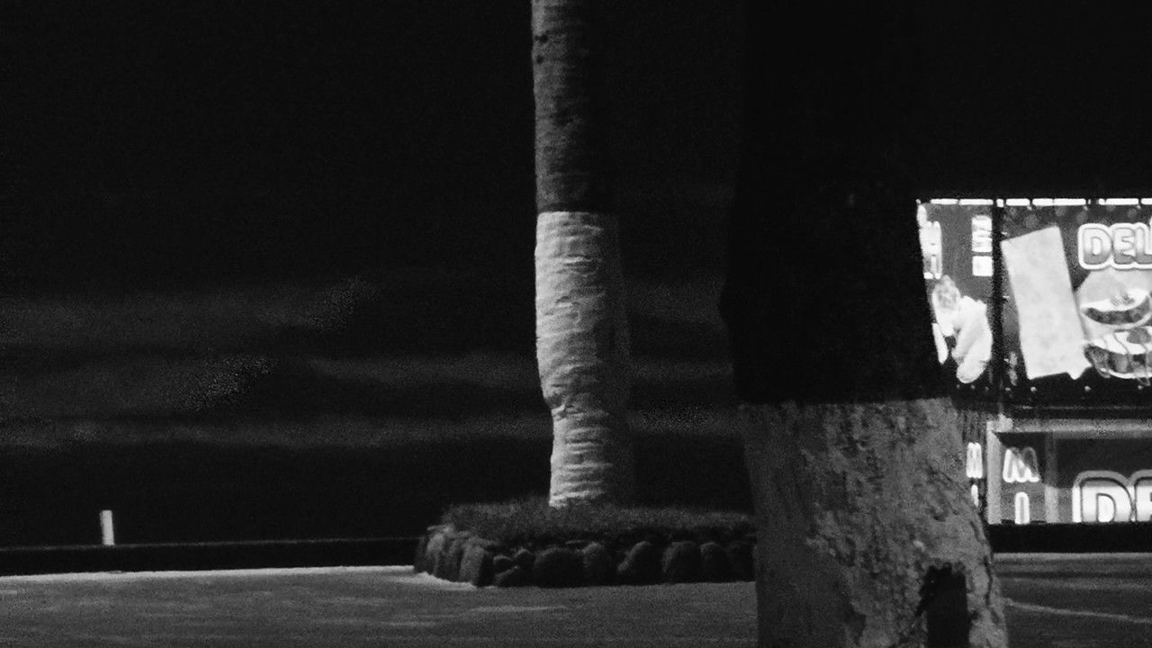 I Dream of a Tropical Night in Beautiful South America backdrop