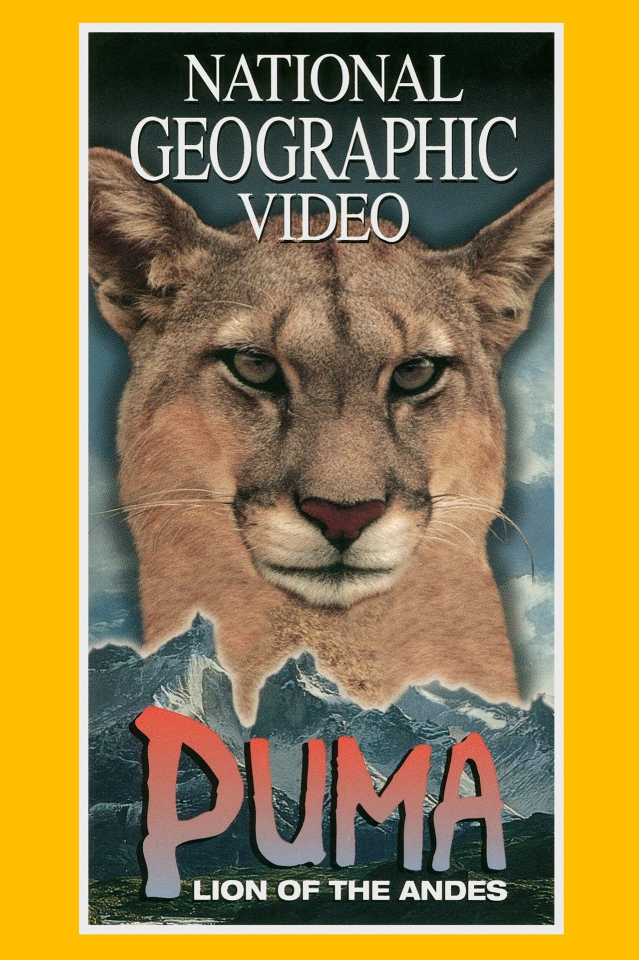 Puma: Lion of the Andes poster