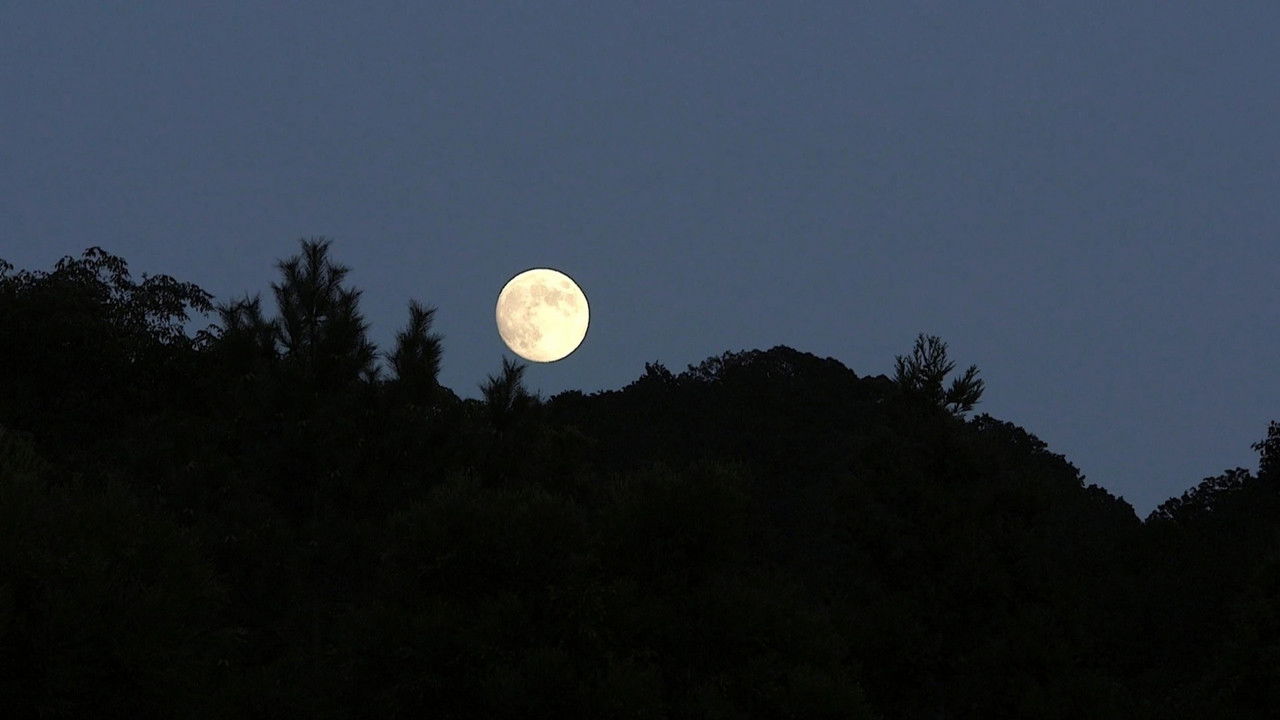 新日本風土記 — Épisode 29