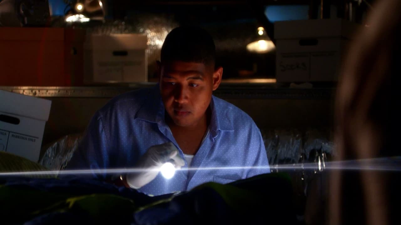 CSI: Miami - Season 8 Episode 17 : Getting Axed