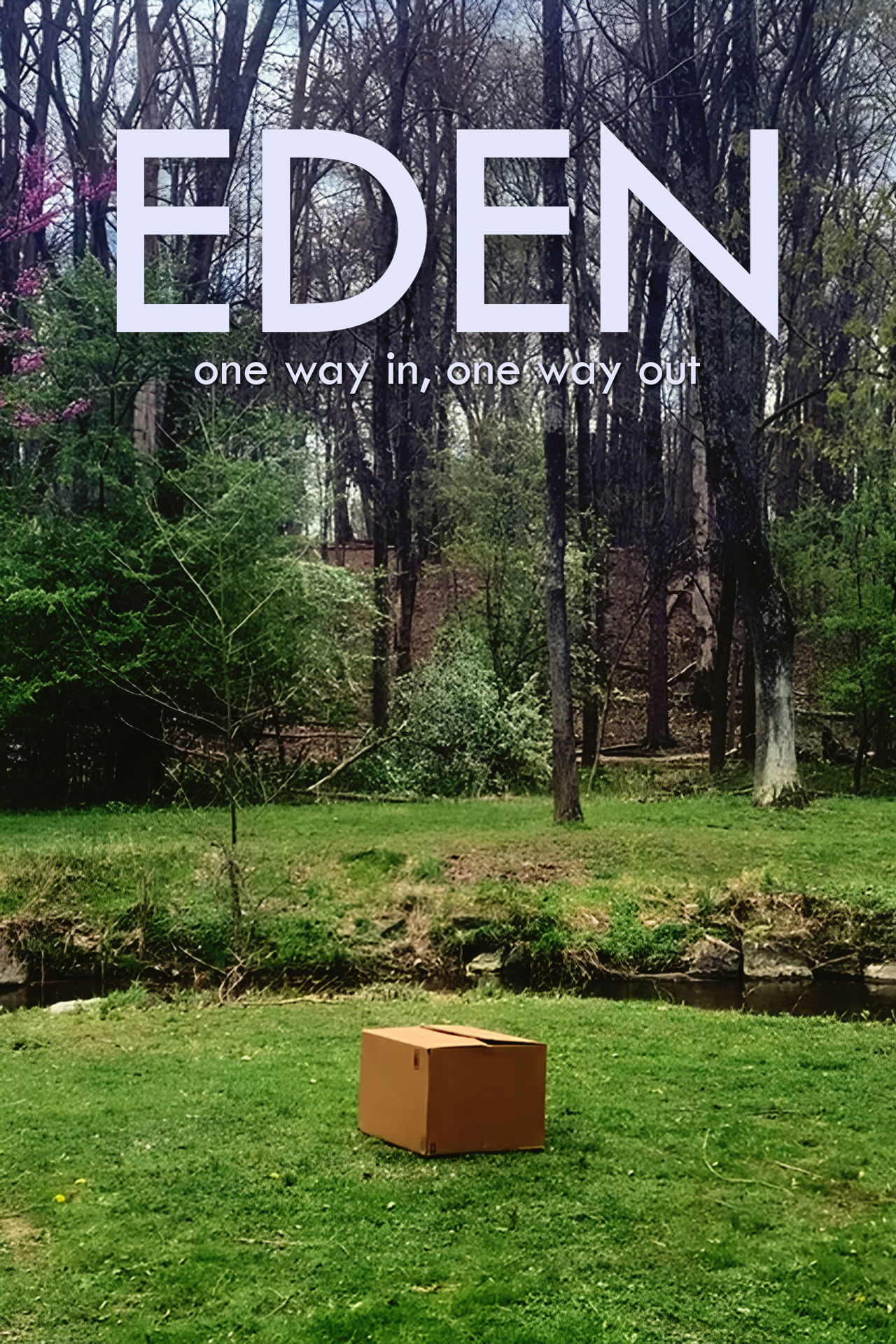 Eden Backdrop