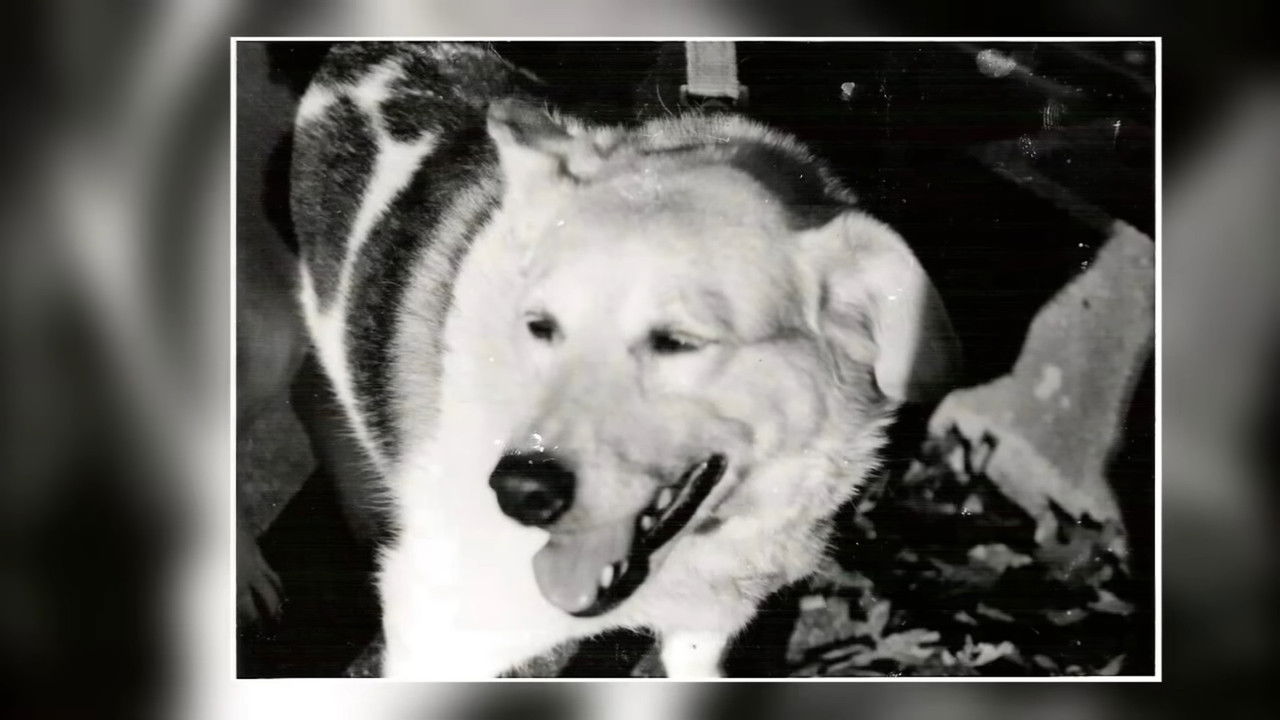 Chris Chan: A Comprehensive History — Épisode 4