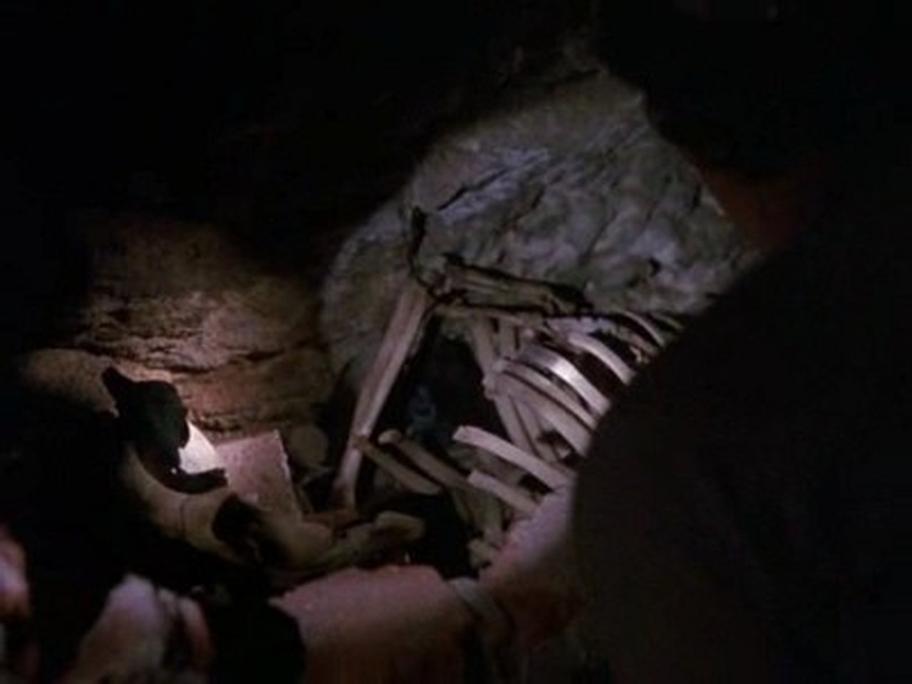 Law & Order - Season 2 Episode 7 : In Memory Of