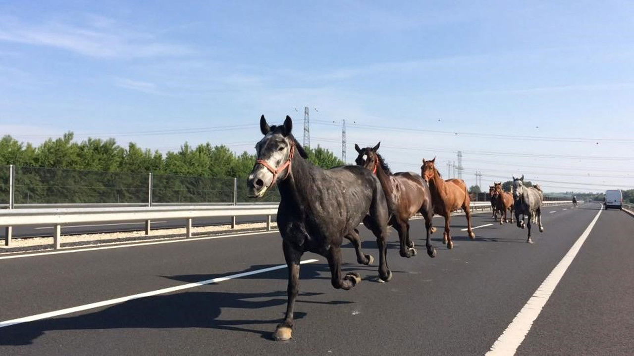 Caméras à bord — Épisode 1