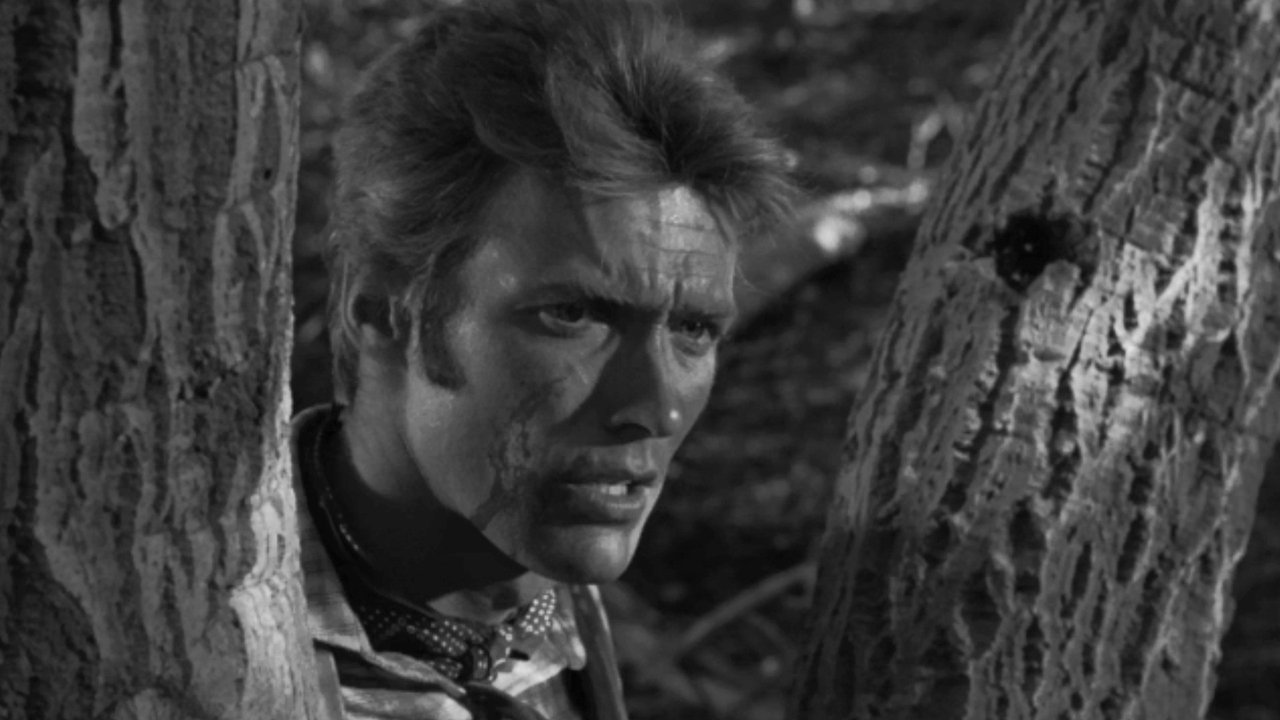 Rawhide - Season 1 Episode 4 : Incident of the Widowed Dove