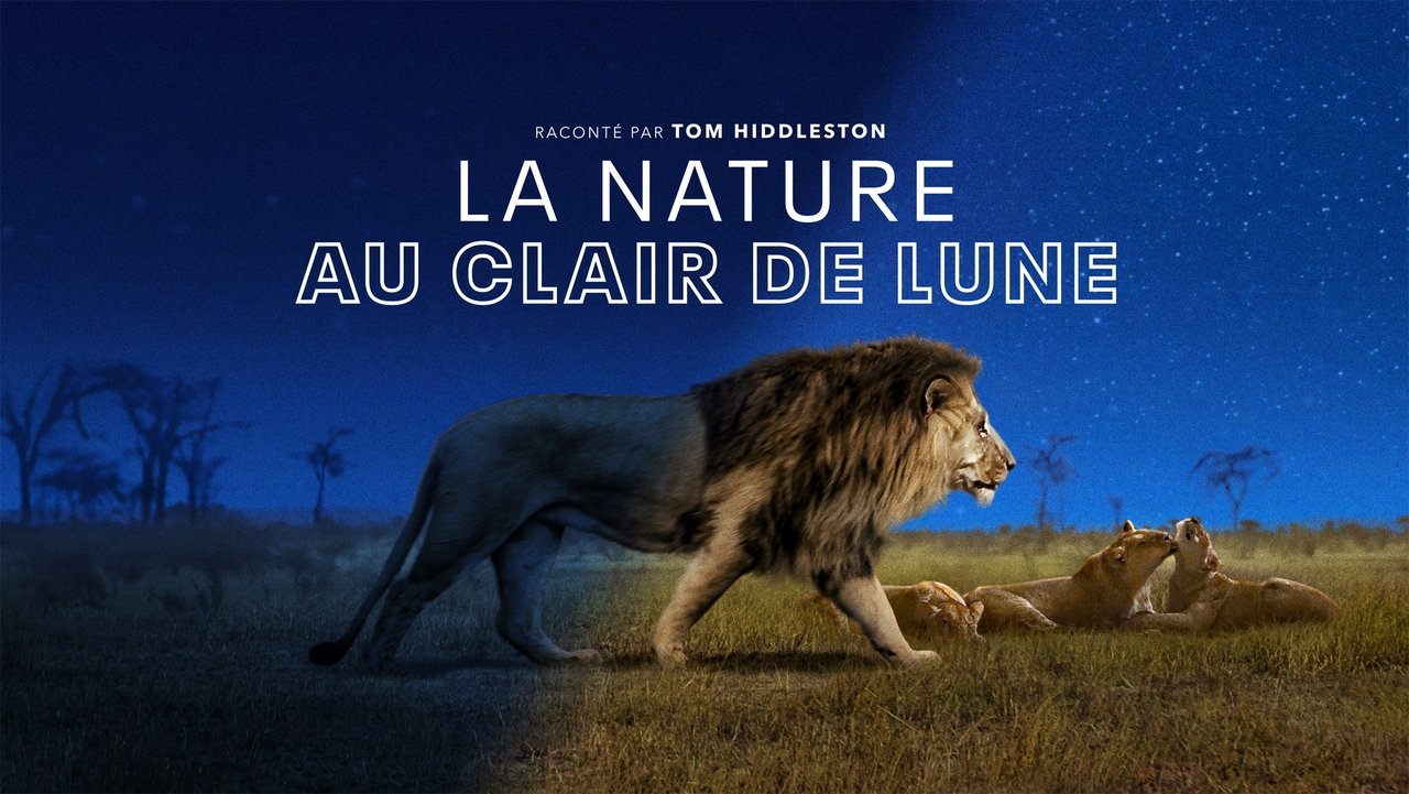 La nature au clair de Lune background