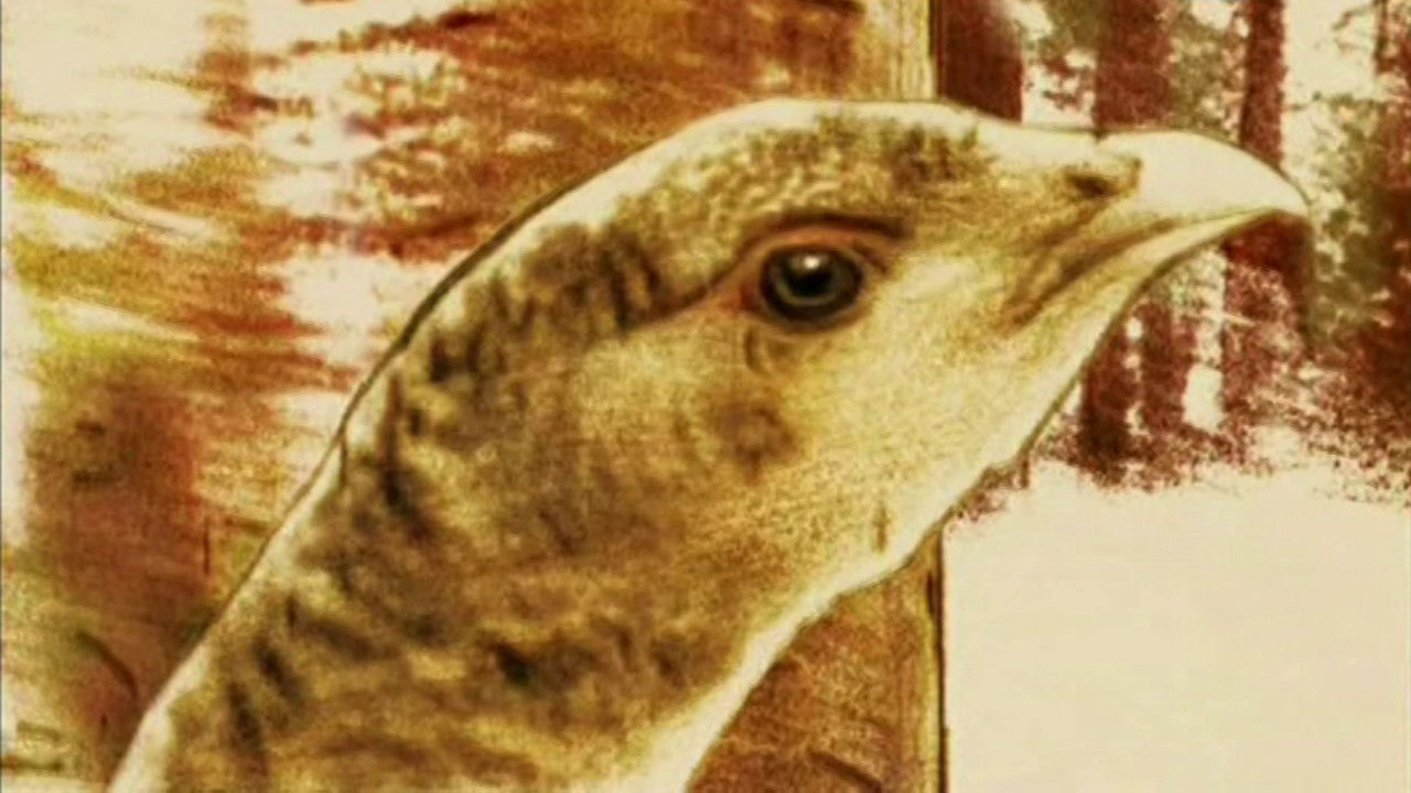 Përshkthim backdrop