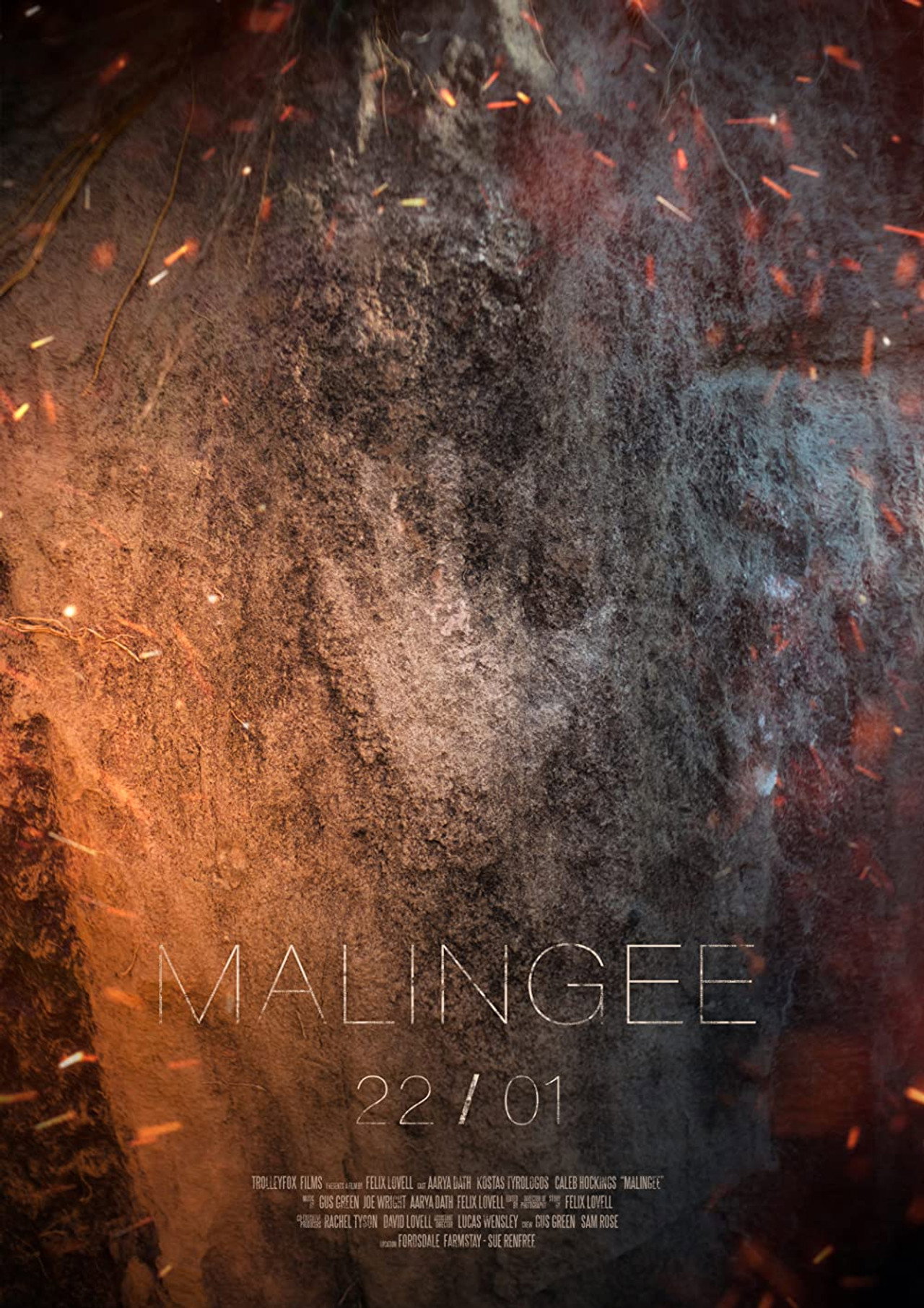 Malingee filmaffisch
