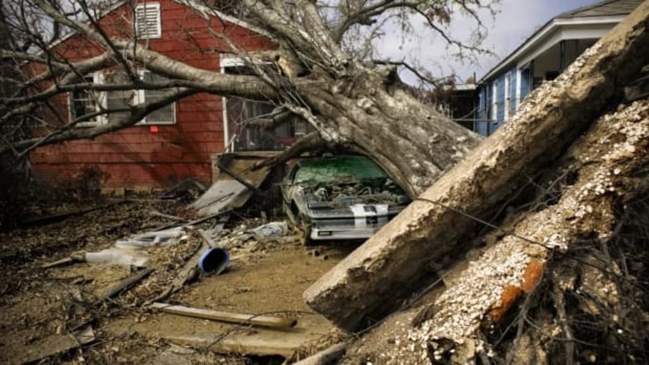 Megastructures Built From Disaster