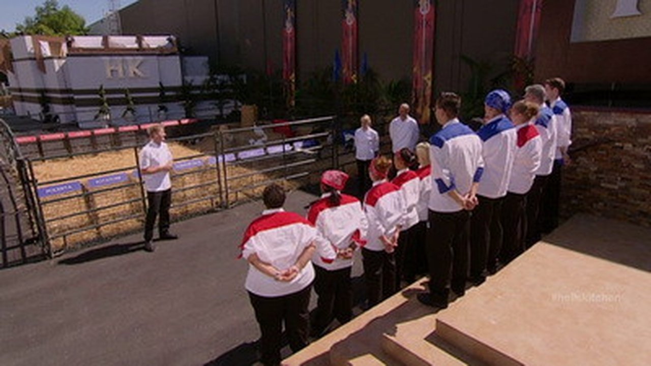 Hell's Kitchen - Season 11 Episode 8 : 14 Chefs Compete