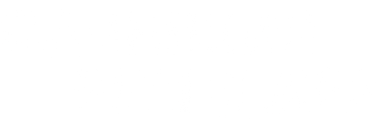 Одинокий рейнджер