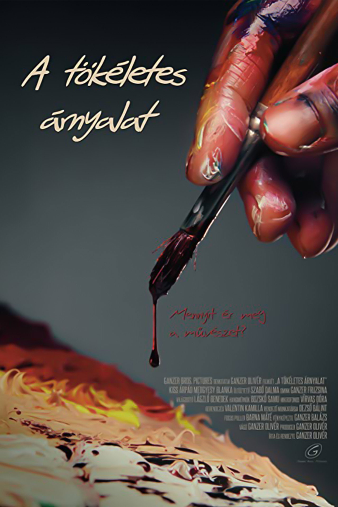A tökéletes árnyalat filmaffisch