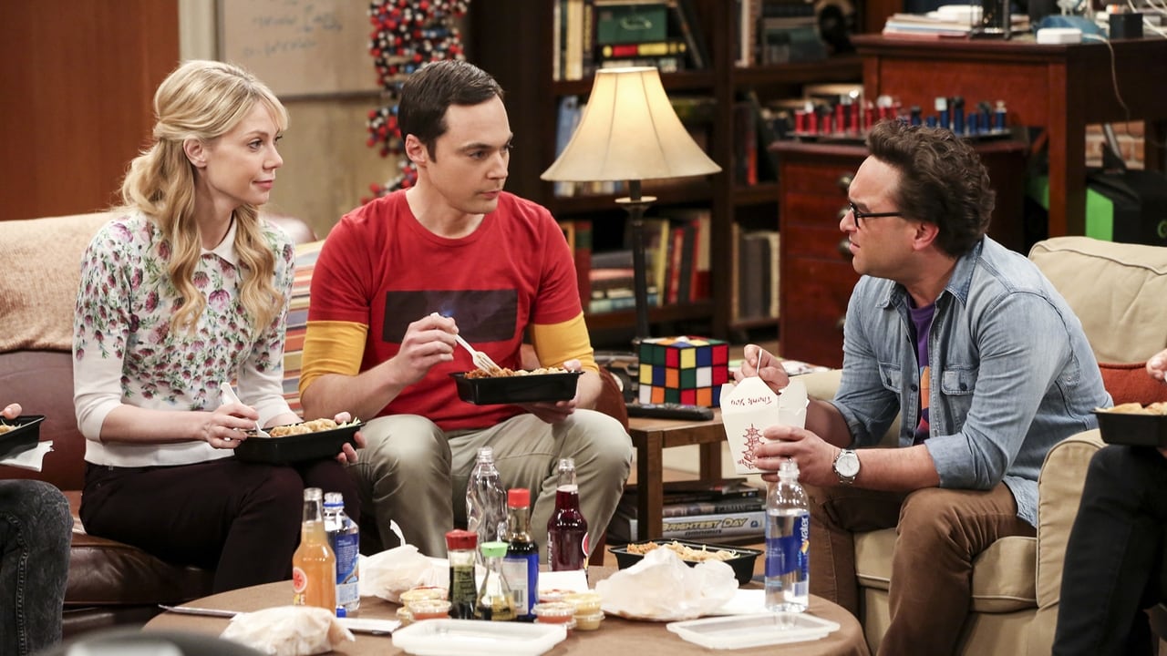The Big Bang Theory - Season 10 Episode 24 : The Long Distance Dissonance