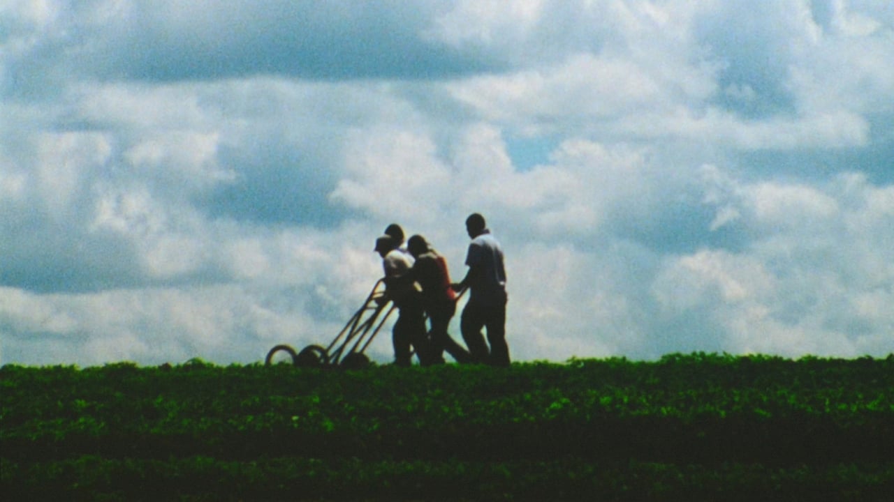 Three Landscapes (2013)